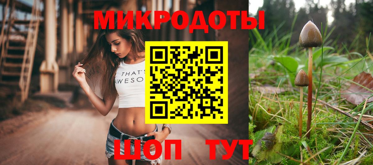 Псилоцибиновые грибы ЛСД Аргун