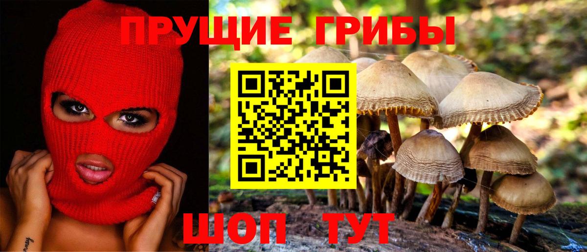 Галлюциногенные грибы прущие грибы  Вход с VPN  Аргун  Галлюциногенные грибы прущие грибы 